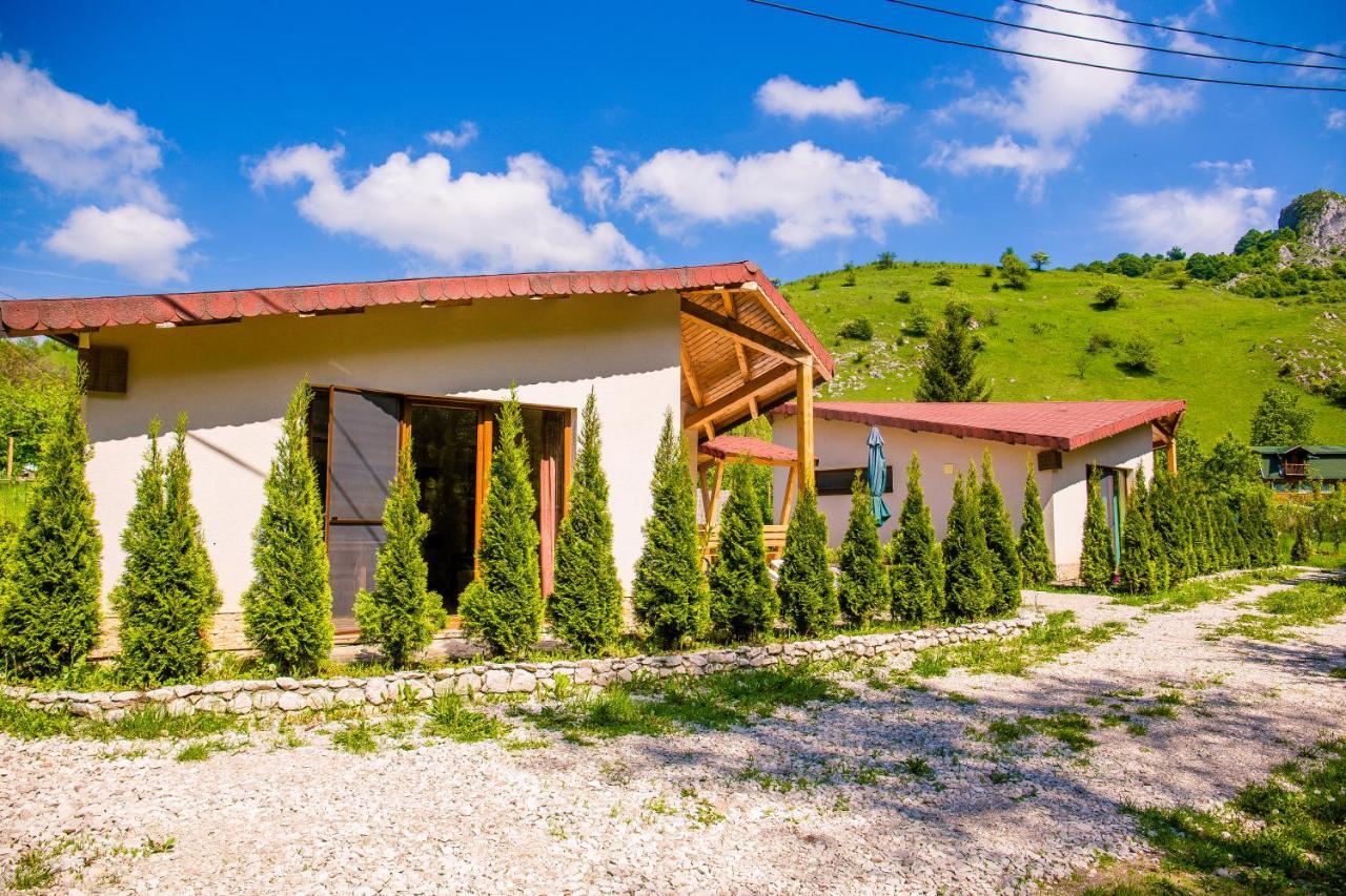 Studiouri Valisoara Экстерьер фото